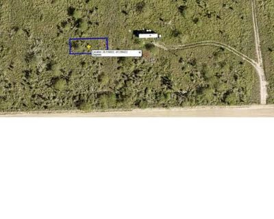 Farm For Sale in LAGUNA VISTA, TX