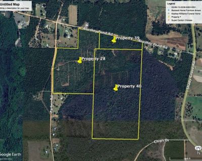 Land For Sale in Grand Ridge, FL