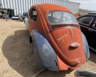 Solid 1964 beetle
