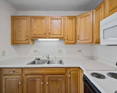 1 Bedroom 1BA 599 ft Pet-Friendly Apartment For Rent in Hibbing, MN