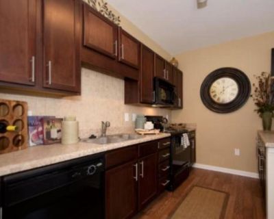 1 Bedroom 1BA Pet-Friendly Apartment For Rent in Cumming, GA