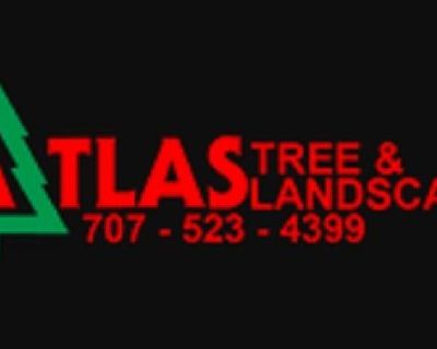 Atlas Tree & Landscape, Inc.