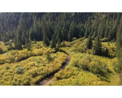 Land For Sale in Hill City, SD