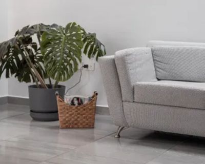 1 Bedroom 926 ft Apartment For Rent in Chemin du Fer- -Cheval, Sainte-Julie