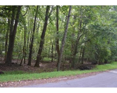 Land For Sale in Browns Summit, NC