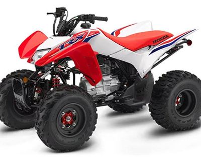 2024 Honda TRX250X ATV Sport Ottumwa, IA