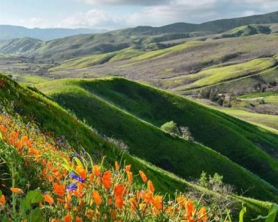 Im looking for a room to rent or a roomate in bear valley springs community