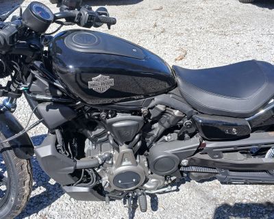 2023 Harley-Davidson NIGHTSTER