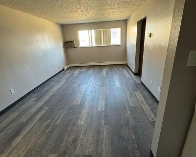 1 Bedroom 1BA 398 ft Pet-Friendly Apartment For Rent in Casper, WY