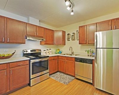 1031 Charlela Ln #1033-408, Elk Grove Village IL 60007. SUMMARY: Discover an opportunity with this Elk Grove Village apartment for rent and available for $1,466. This could be your next ideal home or a smart investment. More details await. This apartment features a spacious living room, dining area, and an eat-in kitchen with stainless steel appliances (adsbygoogle = window.adsbygoogle || []).p...