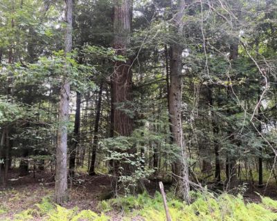 Unimproved Land For Sale in TIDIOUTE, PA