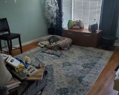 Ana (Has a House) on iROOMit. Room in the 3 Bedroom 1BA House For Rent...