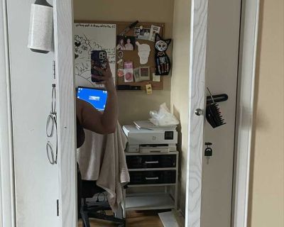 Mirror Cabinet