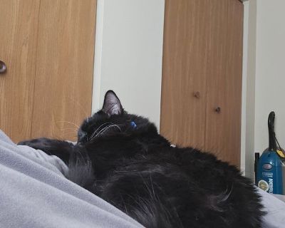 Elijah (Has a Townhouse) on iROOMit. Room in the 2 Bedroom 2BA House For...