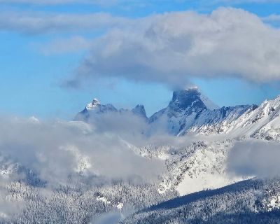 Jennifer (Has a House) on iROOMit. Room in the 1 Bedroom 1BA House For...