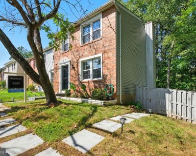 4 Bedroom 2BA 1220 ft Apartment For Rent in Springfield, VA