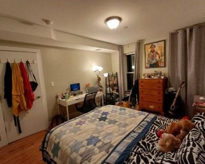 Furnished Room for Rent - Room for rent in a quiet, comfortable, cozy apartm