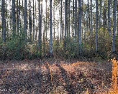 Douglas Landing Rd, Wewahitchka, Plot For Sale
