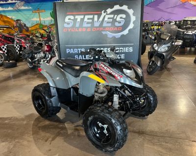 2019 Polaris PHOENIX 200