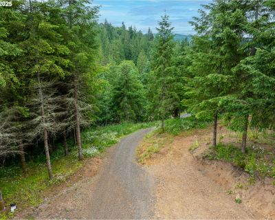 Lots and Land For Sale in Kelso, WA