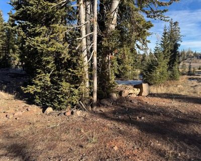 Ridge Top Rd Lot,brian Head, Plot For Sale