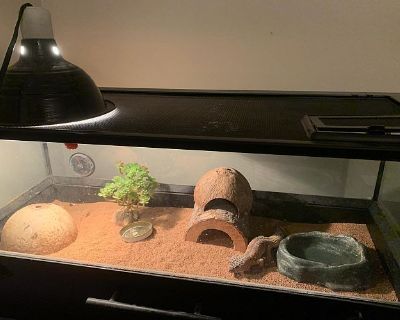 Moving sale! Plants, furniture, clothing, sporting goods, pottery