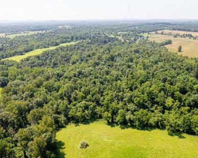Single Family Home For Sale in MIDDLEBURG, VA