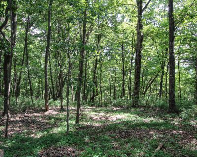 Lots and Land For Sale in Big Canoe, GA