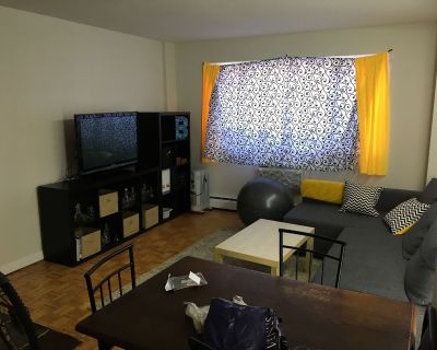 2 Bedroom 1BA House For Rent in Cambridge, MA