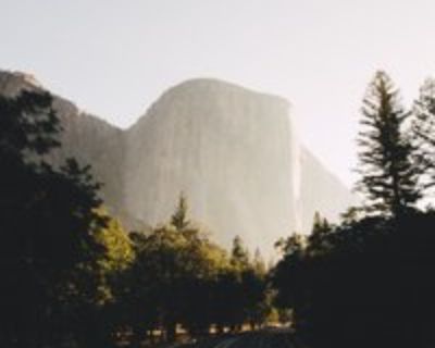 Dikiy K is looking for a New Roommate in Boston with a budget of $15000.00