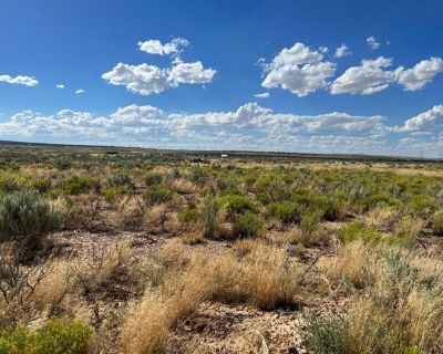 N W Lots And,cedar City, Plot For Sale