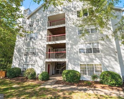 18508 Boysenberry Drive # 176-106. Property for Rent in Gaithersburg, MD for $2,200 with 2 bedrooms and 2 full baths. This 914 square foot property was built in 1988.. Welcome to this newly remodeled and absolutely stunning 2BR/2FB condo featuring soaring ceilings and an abundance of natural light. From the moment you walk in, youll fall in love with the spacious, open-concept living and dining...