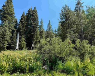 Land For Sale in Alpine Meadows, CA