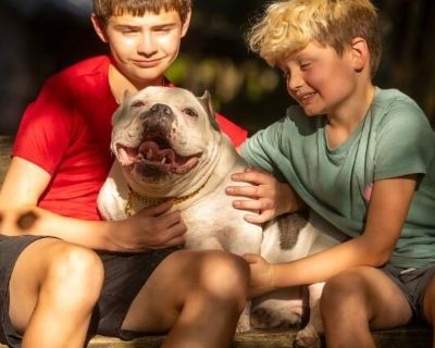 Ladies, do you want a reason to need to keep your nails done? Meet Cedric, he melts for back scratches and practically has an out of body experience if the one giving the scratches has good nails. He may not be able to pay for them but he will always admire and appreciate them. In return for the backcscrathes he has snuggles, sweet kisses, and short walks to offer. And how could I forget- allll...