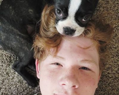 Jacob - Needs an Apartment on iROOMit or a Room