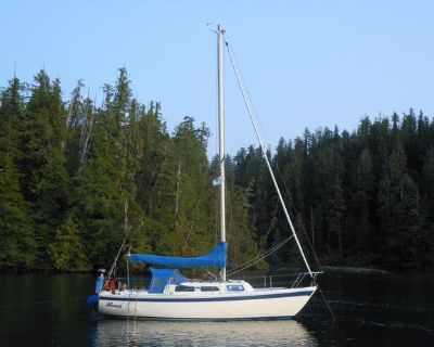 Exceptional Cal 2-29