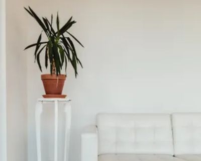 1 Bedroom 1690 ft Apartment For Rent in Laval (administrative region), QC